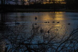 Pitfour Lake