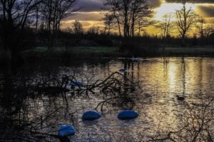 Pitfour Lake