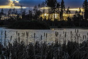 Pitfour Lake