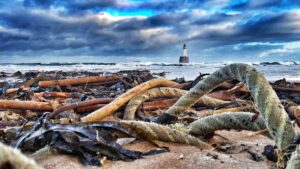 Rattray Head Lighthouse Peterhead