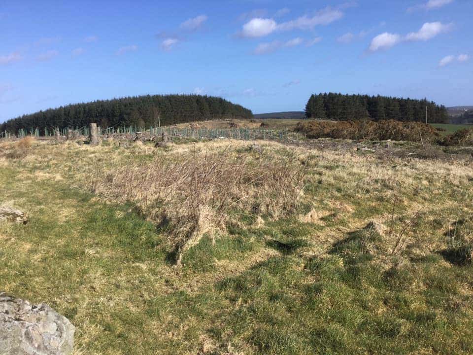 Aikey Brae stone circle 3