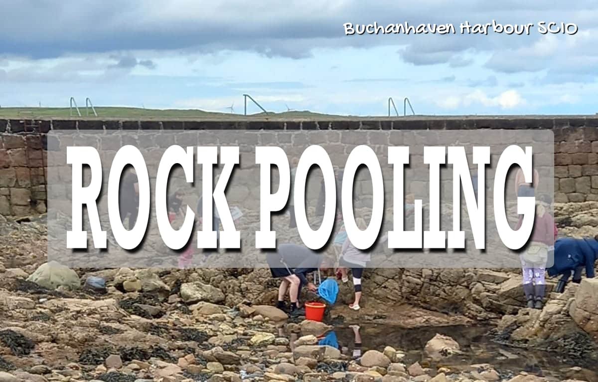 rock pooling