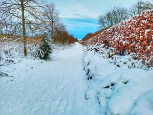 Aden Country Park