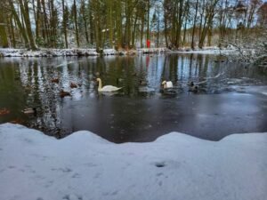 Aden Country Park