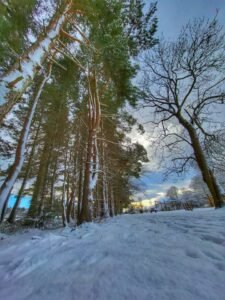 Aden Country Park