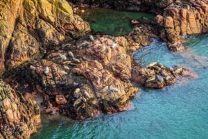 Nature Reserve Longhaven