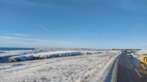 snow in Peterhead