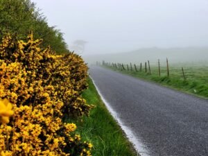 Fog near Peterhead