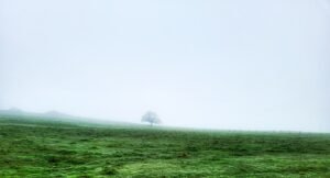 Fog near Peterhead