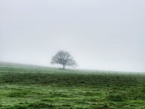 Fog near Peterhead