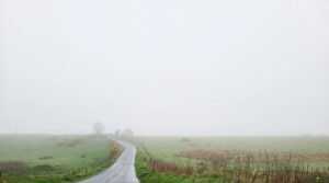 Fog near Peterhead