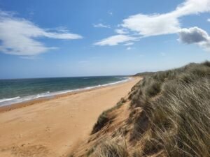 Scotstown Beach