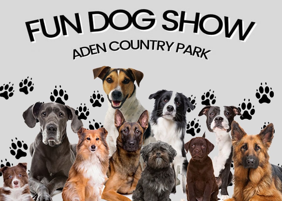 Fun Dog Show