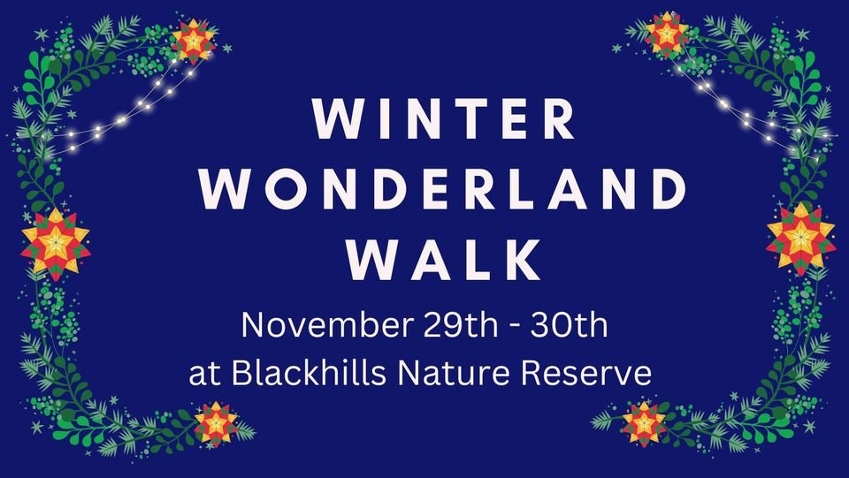 Winter wonderland walk