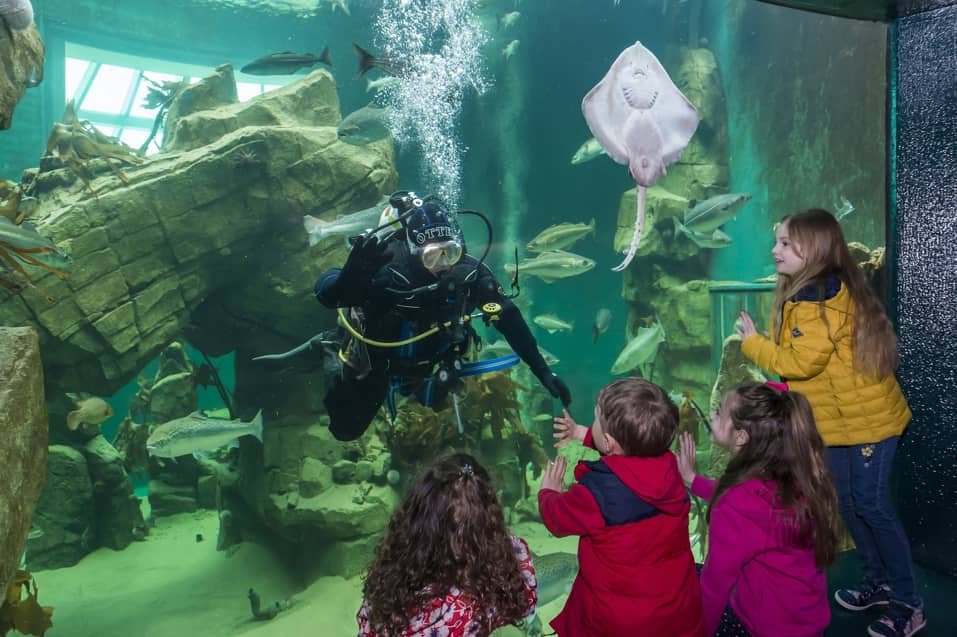 Macduff Marine Aquarium Stromar Powers Ocean and Climate Education