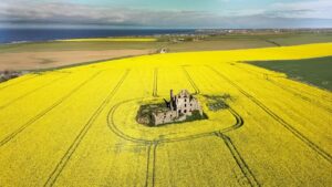 Pittulie Castle