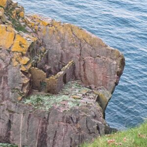 Collapsed quarry bothy at Longhaven Cliffs