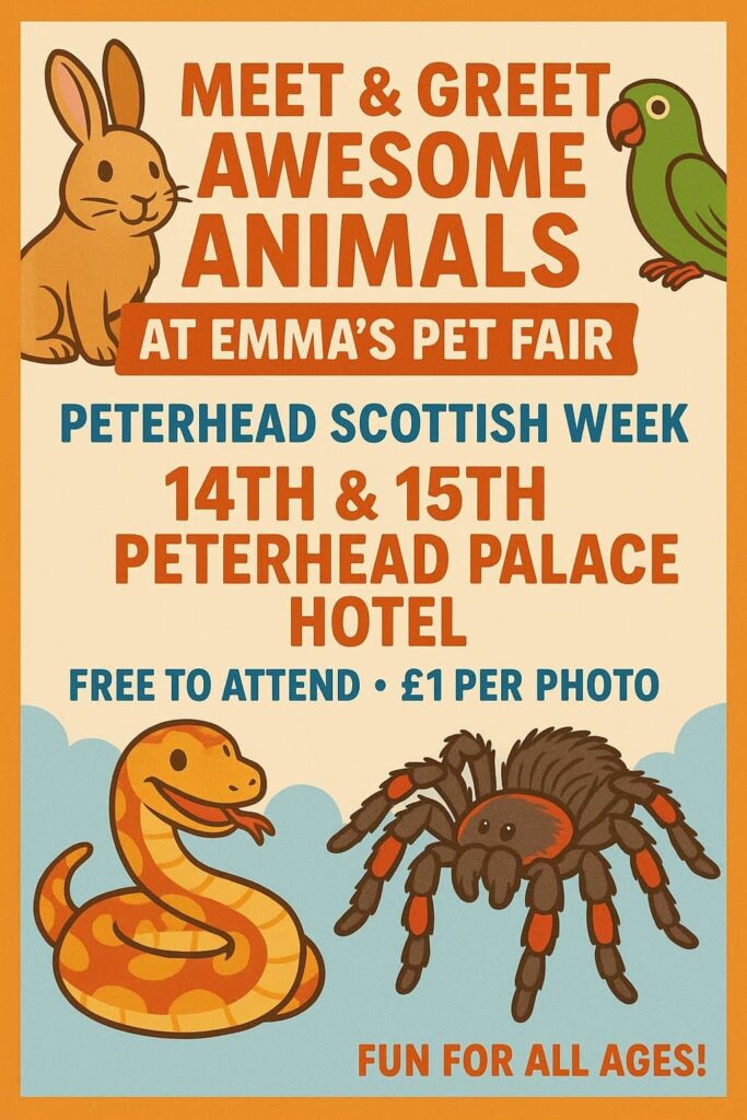 Meet and Greet at Scottish Week Fayre 2 Meet and Great at Scottish Week Fayre min