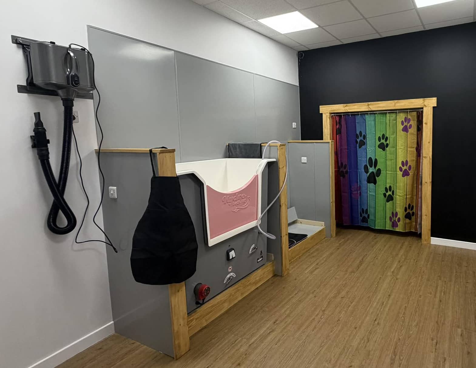 Dog Wash | Pawsitive Moments Scrub Hub | 38 Broad St